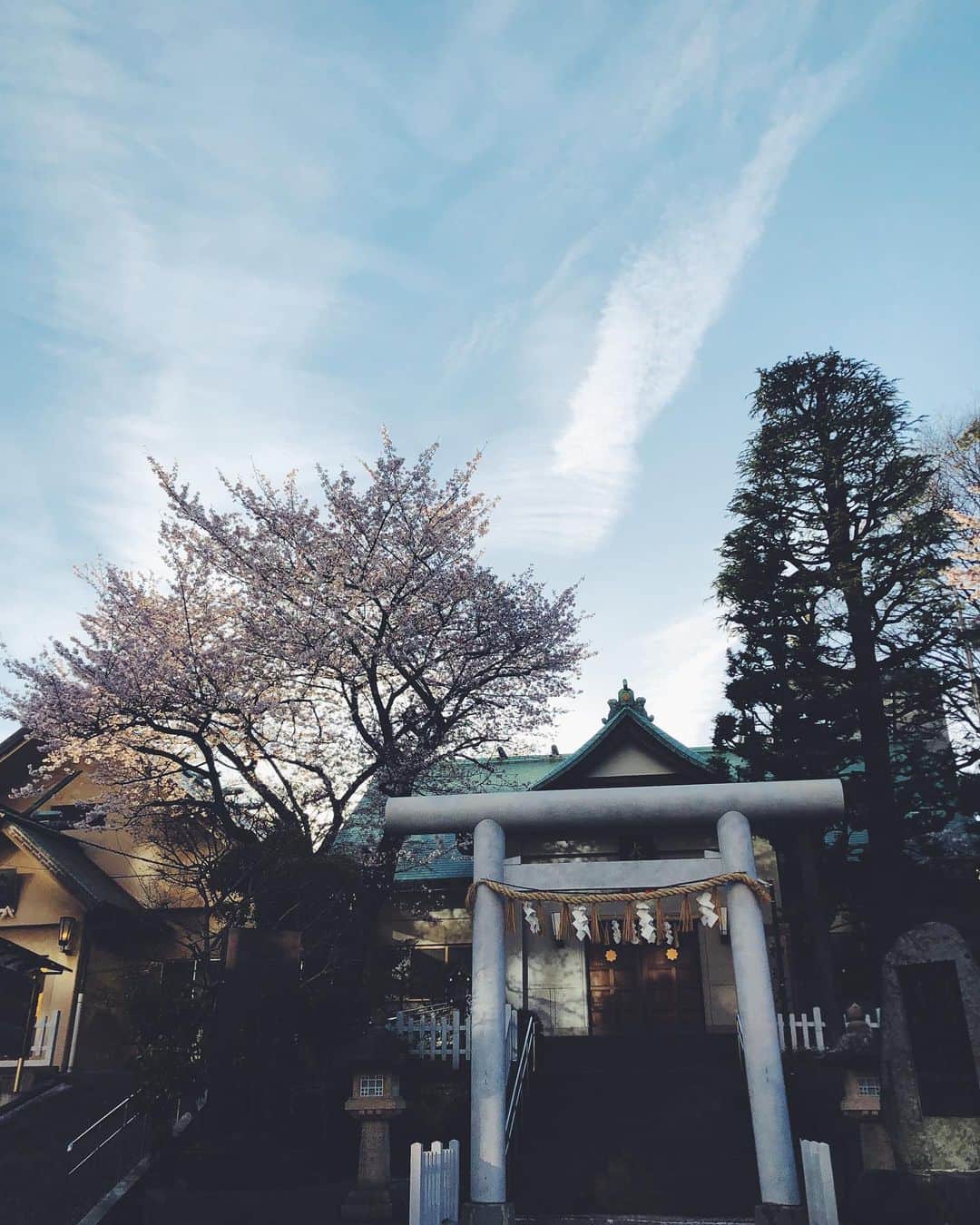 尾形沙耶香さんのインスタグラム写真 - (尾形沙耶香Instagram)「#sakura 🌸」4月6日 14時45分 - sayakaogata