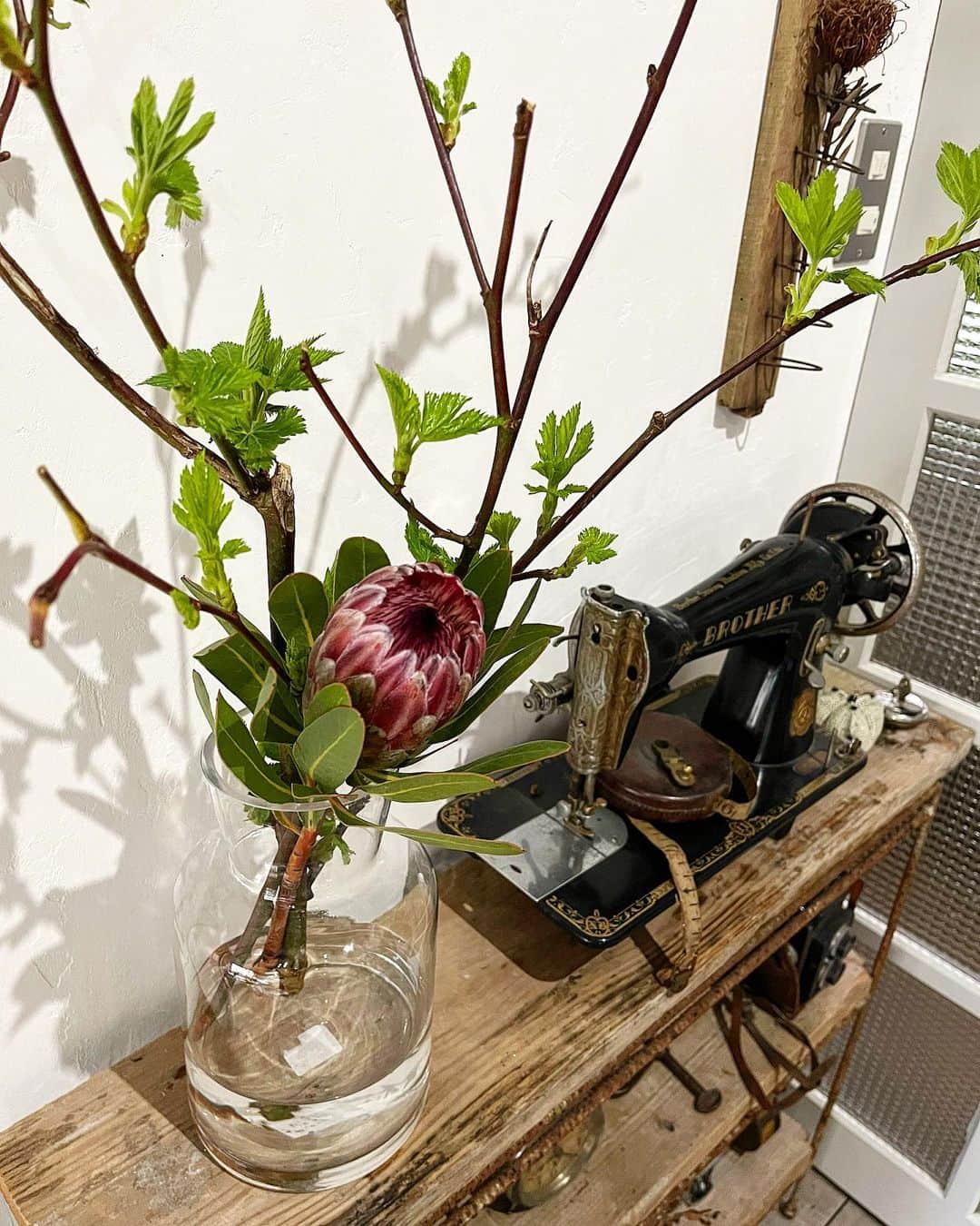 akiさんのインスタグラム写真 - (akiInstagram)「@hananomiserin  さんのオンラインショップで販売していた、キイチゴの枝&プロテアのお花が可愛すぎて、即購入し飾りました😊  キイチゴの枝は初めてだけど、葉っぱの形が可愛くて、春らしいグリーンが綺麗で癒されます✨ . . . #古民家#古民家リノベーション #セルフリノベ ーション #diy #漆喰 #bedroom #plants #green #観葉植物  #緑のある暮らし #flowers #プロテア  #antique #vintage #rustic #interior #interiordesign #インテリア　#homedecor #display #暮らし #lifestyle」4月6日 9時40分 - akiko_quatresaisons