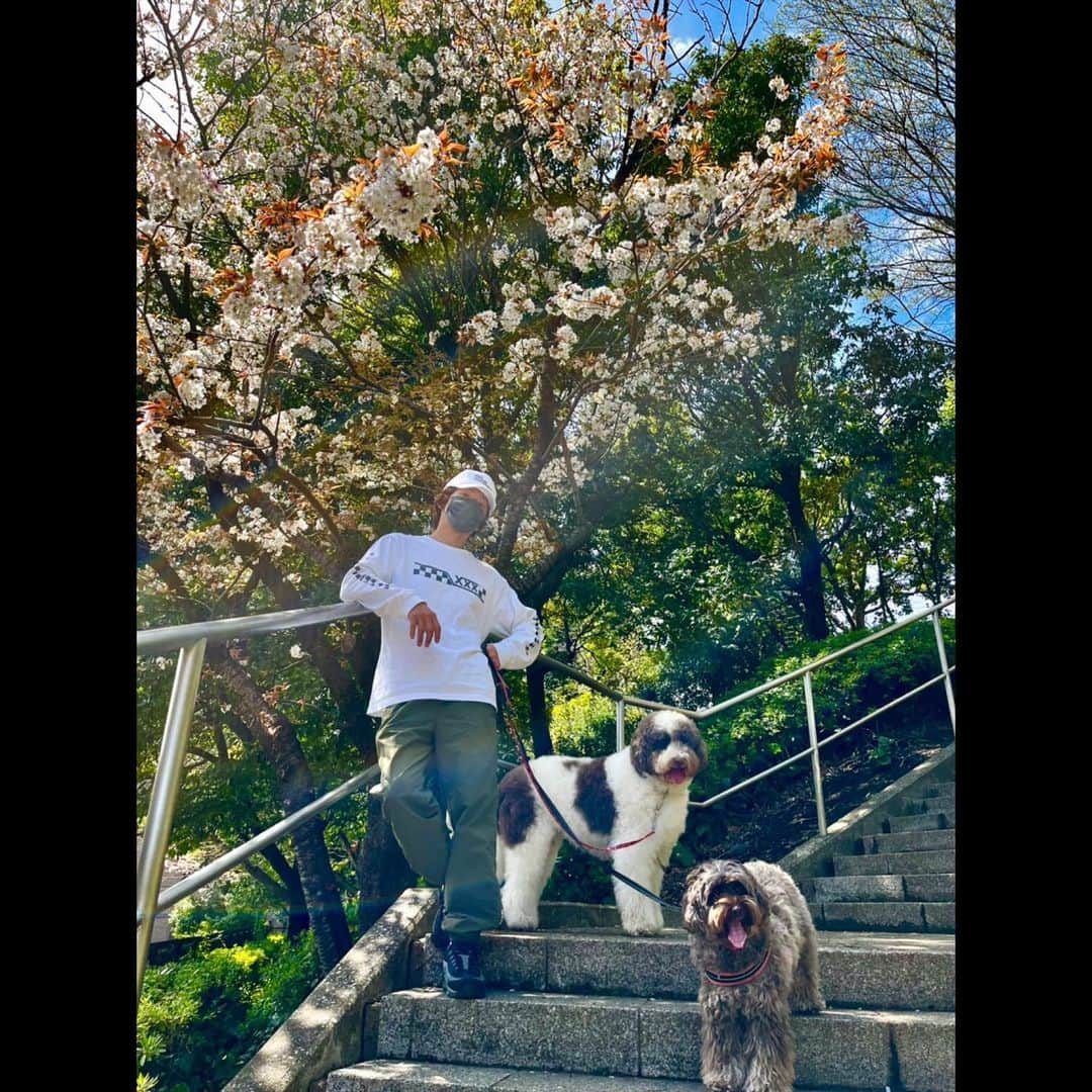 木村拓哉さんのインスタグラム写真 - (木村拓哉Instagram)「⁡ ⁡ ⁡ 「あったかいですねぇ〜‼︎ ロンＴ1枚でも、汗が。 ドラマ撮影で、たかが２日歩いていないと脚にハリが出ます…。 桜もだいぶ散って、葉桜になりつつありますが、これもまた綺麗ですね！」 ⁡ PEACE‼︎ ⁡ STAYSAFE！ ⁡ 拓哉 #木村拓哉#TakuyaKimura」4月6日 12時19分 - takuya.kimura_tak