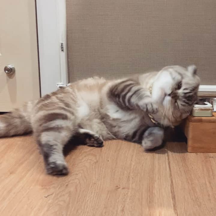 Chepoのインスタグラム：「ของมันดีจริงๆ เปียกยันกระพุ้งแก้ม」