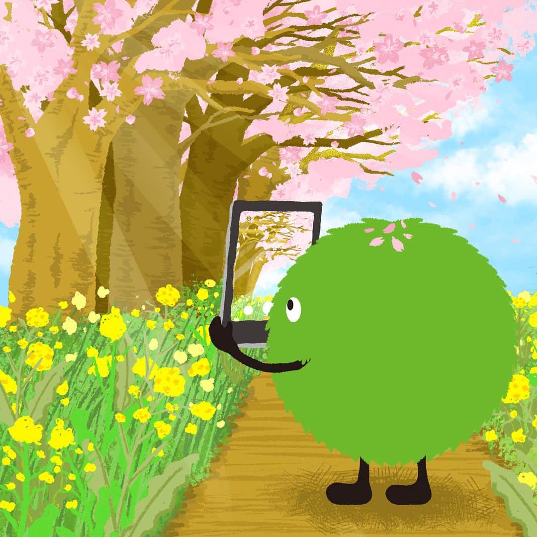 SUUMO公式アカウントのインスタグラム：「🌸🌱 スーモはいい写真が撮れたでしょうか？💚✨  #春 #桜 #さくら #菜の花 #なのはな #お花見 #おはなみ #4月 #April #Spring #cherryblossom #スーモ #SUUMO #あっスーモ」