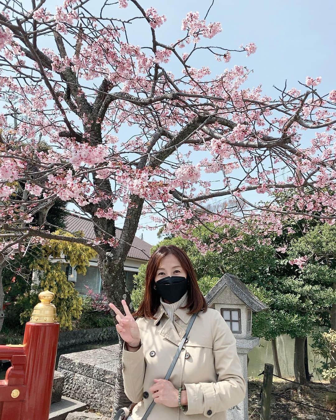 かとうれいこさんのインスタグラム写真 - (かとうれいこInstagram)「春はやっぱりトレンチコートが着たくなる🧥  毎年思うことだけど、 四季のある日本って素敵だね！🌸  何を今さら〜😆笑  #サクラ #トレンチコート #鎌倉」4月6日 13時21分 - katoreiko_official