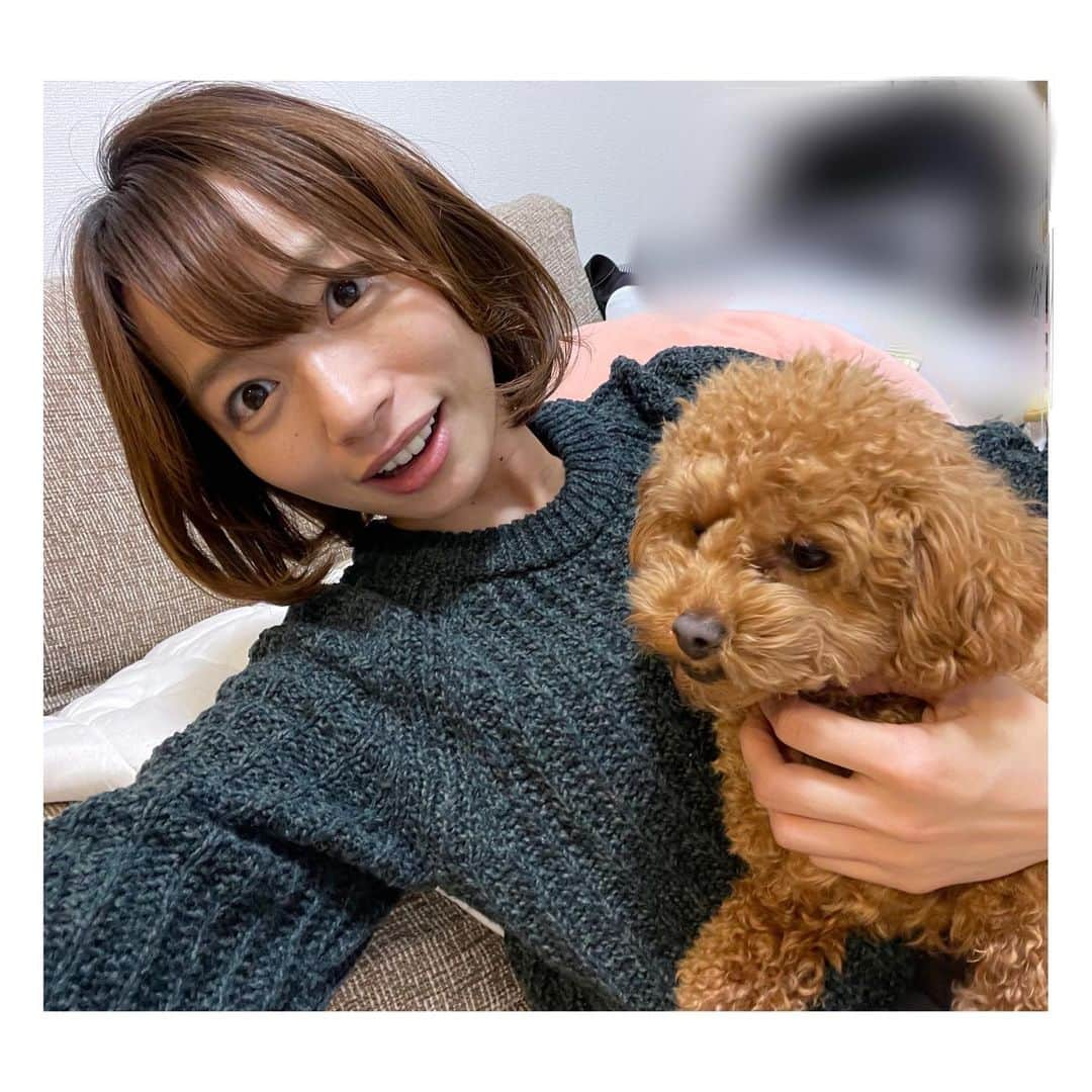 阿部芳美さんのインスタグラム写真 - (阿部芳美Instagram)「今日もお疲れ様でした😌！  最近、夜更かしをしてしまうことが多いので… 『今日こそ早く寝よう！！』 と意気込んで布団に入りましたが…😪✨  こういう時は、大抵寝付けないですね（笑）  そんな私をよそに、 むぎは布団で爆睡です🐕💤笑 (さっきまではしゃいでいたのに！)  しっかり寝て、 明日も頑張るぞーーー🌸  #寝る前の携帯いじりは厳禁ですね #ついつい触ってしまう  #💤」3月22日 23時44分 - yoshimi_abe0410