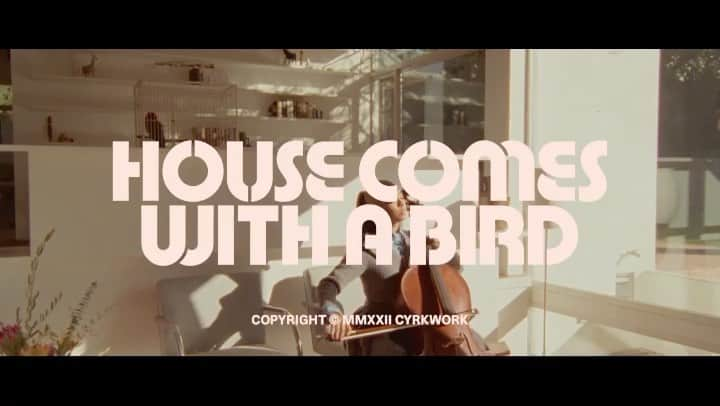 ペドロ・パスカルのインスタグラム：「House Comes With A Bird by @janicza   #MiuMiu #MiuMiuWomensTales #MiucciaPrada」