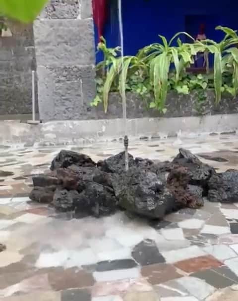 フリーダ・カーロ記念館のインスタグラム