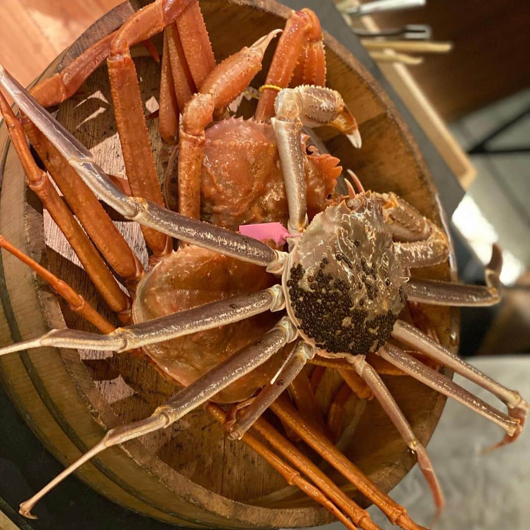 のインスタグラム：「先日、とても気になってた#カニジェンヌ へ(*^^*) 🦀@canni_sienne   こちらのズワイガニと紅ズワイガニの交配で生まれる幻の希少種「#黄金がに」をとっても楽しみにしてて＾＾  数千匹に１匹しな水揚げされない「#幻の蟹 」と呼ばれるそう💡  広い個室で活きた蟹を目の前で捌いてくれるライブ感がワクワクして、濃厚な甘みの美味しさに感動❣️   お刺身、炭焼き、茹で、しゃぶしゃぶ。。。。いろんな調理法で蟹を堪能できた♡  安里ちゃんと乾杯🥂して、日本酒🍶🦀とのマリアージュが😘 また行きたいなぁ♪  #ks_22✨ #ks_osaka✨ #大阪 #北新地 #蟹 #kannisienne #osaka #🦀 #松葉蟹」