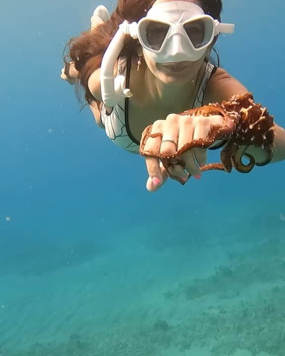 ILAのインスタグラム：「@kianamachad found a lil friend there 🐙 #ilaswim」