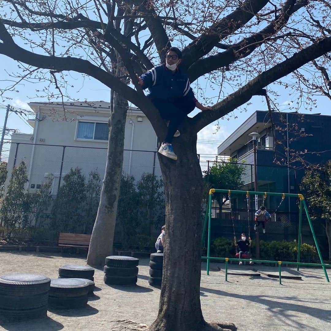 魔裟斗さんのインスタグラム写真 - (魔裟斗Instagram)「桜はまだか #魔裟斗」3月23日 13時22分 - masato.official