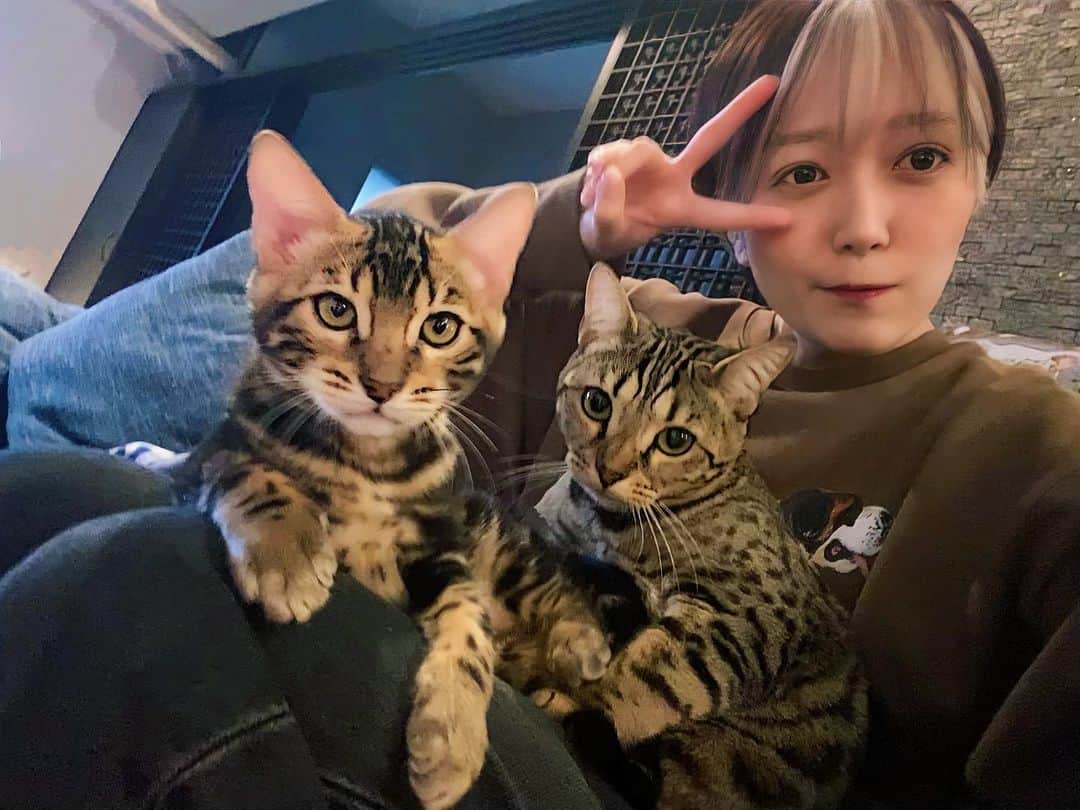 佐藤亜美菜のインスタグラム