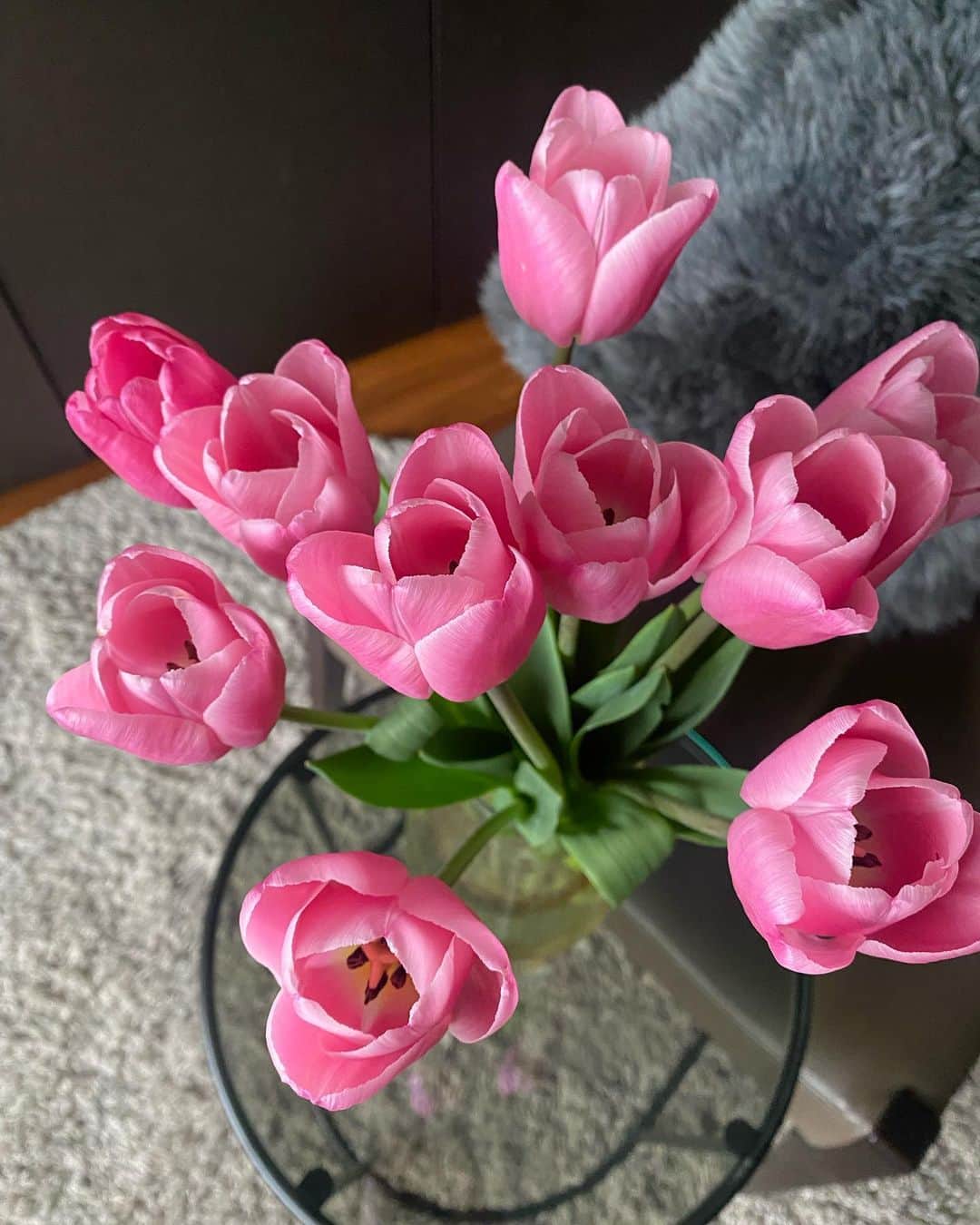 山賀琴子さんのインスタグラム写真 - (山賀琴子Instagram)「春らしいチューリップ💗🎀🌷  チューリップだけの花束ってとっても可愛い！ この濃いめのピンク色が時間とともに褪せて淡いピンクになるのもまた良いのよね☺︎  お花があるだけで部屋が明るく感じるし 四季を感じられて毎日の生活が すこし、豊かになる気がする🕊」3月23日 20時11分 - kotokoyamaga