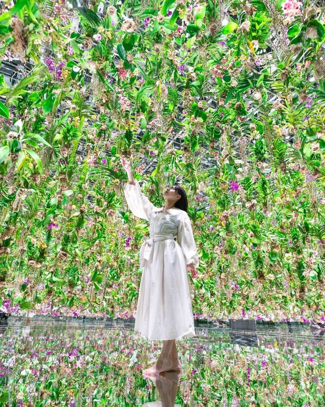 藤田いろはさんのインスタグラム写真 - (藤田いろはInstagram)「💐✨」3月23日 22時01分 - irohairo1151