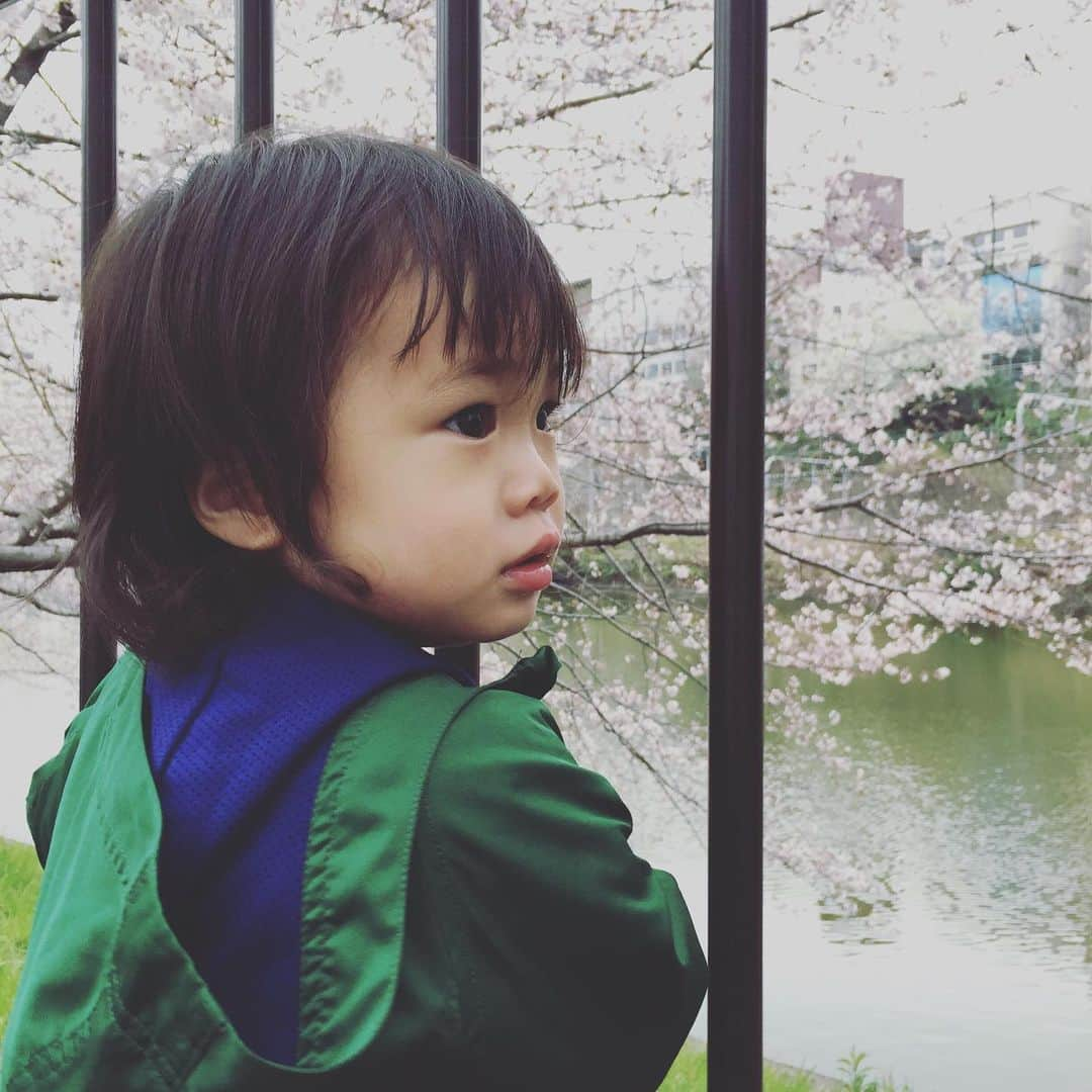 萩野志保子さんのインスタグラム写真 - (萩野志保子Instagram)「この日も寒かったな。6年前、1歳の息子と見た桜🌸 願い事叶うなら、3日間でいいから、この子ともう一度過ごせたらな、なんて思ってしまう いまも可愛いのは大前提中の大前提なのですよ。 そういうことではないのですが🌸 赤ちゃんのときの泣き声も、もう一度聴きたい。 #桜 #tbt #子も母も #1歳  #子育て #息子  #ワーキングママ  #アナウンサー #育休 #思い出」3月24日 9時35分 - shihoko_hagino