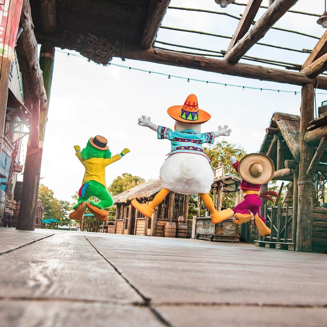 東京ディズニーリゾートさんのインスタグラム写真 - (東京ディズニーリゾートInstagram)「We are Three Caballeros! いつだって賑やかな3人🎶 #thethreecaballeros #donaldduck #panchito #josecarioca #lostriverdelta #tokyodisneysea #tokyodisneyresort #三人の騎士 #ドナルドダック #パンチート #ホセキャリオカ #ロストリバーデルタ #東京ディズニーシー #東京ディズニーリゾート」3月24日 10時00分 - tokyodisneyresort_official