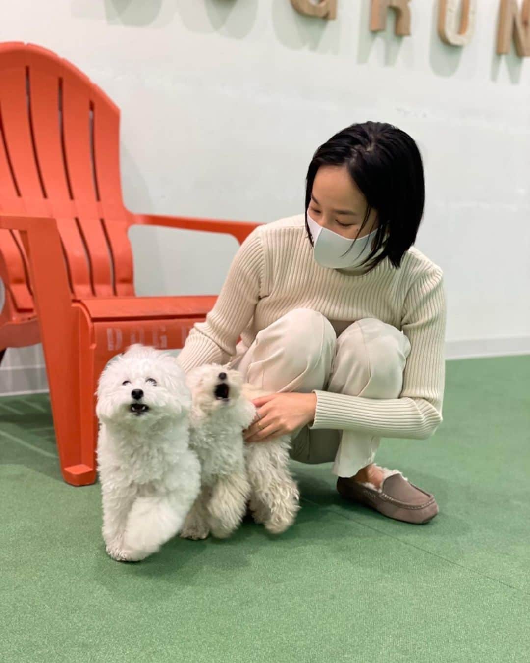 高嶋香帆のインスタグラム：「我が娘たちの嬉しそうな顔！ 美しすぎるイケメン彼氏様にお台場のドッグランへ連れて行ってもらいました🐶💓 @mayumayu1008   わんずともども繭ちゃん大好きで、運転などお世話になりまくりです🚘  私もペーパードライバー卒業して、役に立ちたい😂✨  #ドッグラン #お台場ドッグラン #お台場 #犬のいる暮らし #トイプードル #犬バカ部」
