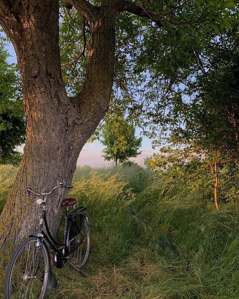 イネスドゥラフレサンジュのインスタグラム：「🌳 Soirée de printemps🚲 Spring evening 🌿   📷 @pinterestfr   #inesdelafressangeparis #inesdelafressange #inspiration」