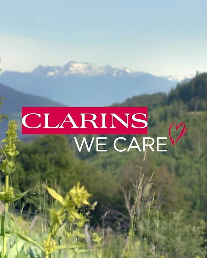 Clarins Canadaのインスタグラム：「Concerned about taking care of the planet, Clarins is committed to reforestation projects alongside Pur Projet. Clarins Seeds of Beauty program has made it possible to plant more than 600,000 trees around the world since 2011, including 16,000 in Canada. 🌳 ⁣ __________⁣ Soucieux de prendre soin de la planète, Clarins s'engage pour la reforestation aux côtés de Pur Projet. Le programme Clarins Seeds of Beauty a d'ailleurs permis la plantation de plus de 600 000 arbres dans le monde depuis 2011, dont 16 000 au Canada. 🌳 ⁣ .⁣ .⁣ .⁣ #Clarins #ClarinsWeCare #ResponsibleBeauty #Reforestation #ForestDay #InternationalDayOfForests」