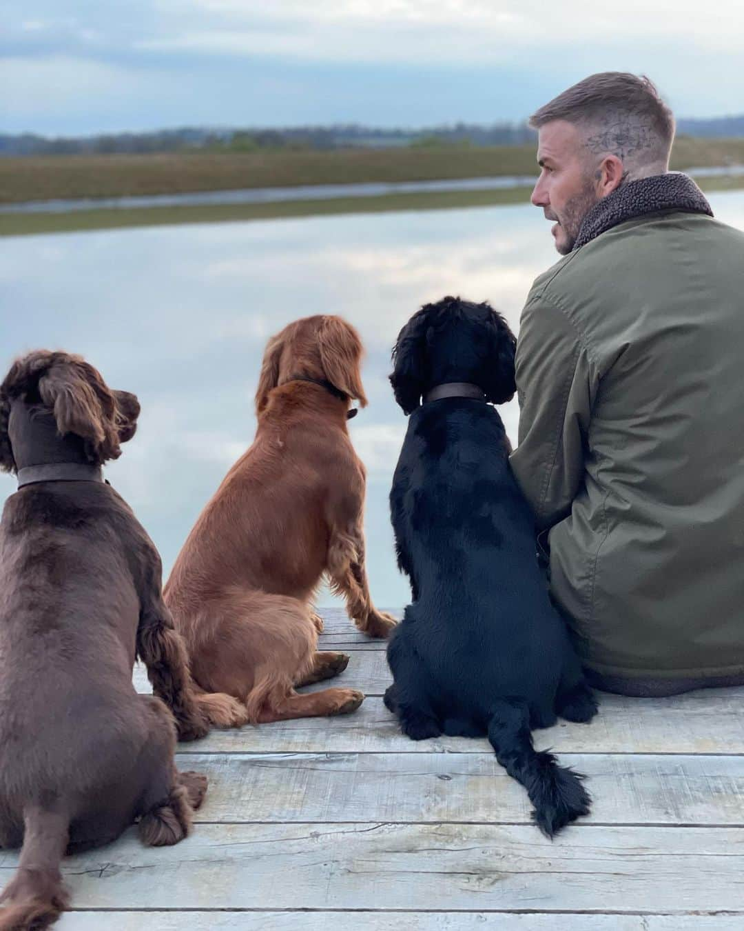 デビッド・ベッカムさんのインスタグラム写真 - (デビッド・ベッカムInstagram)「🐶🐶🐶 special moments ❤️」3月24日 6時37分 - davidbeckham