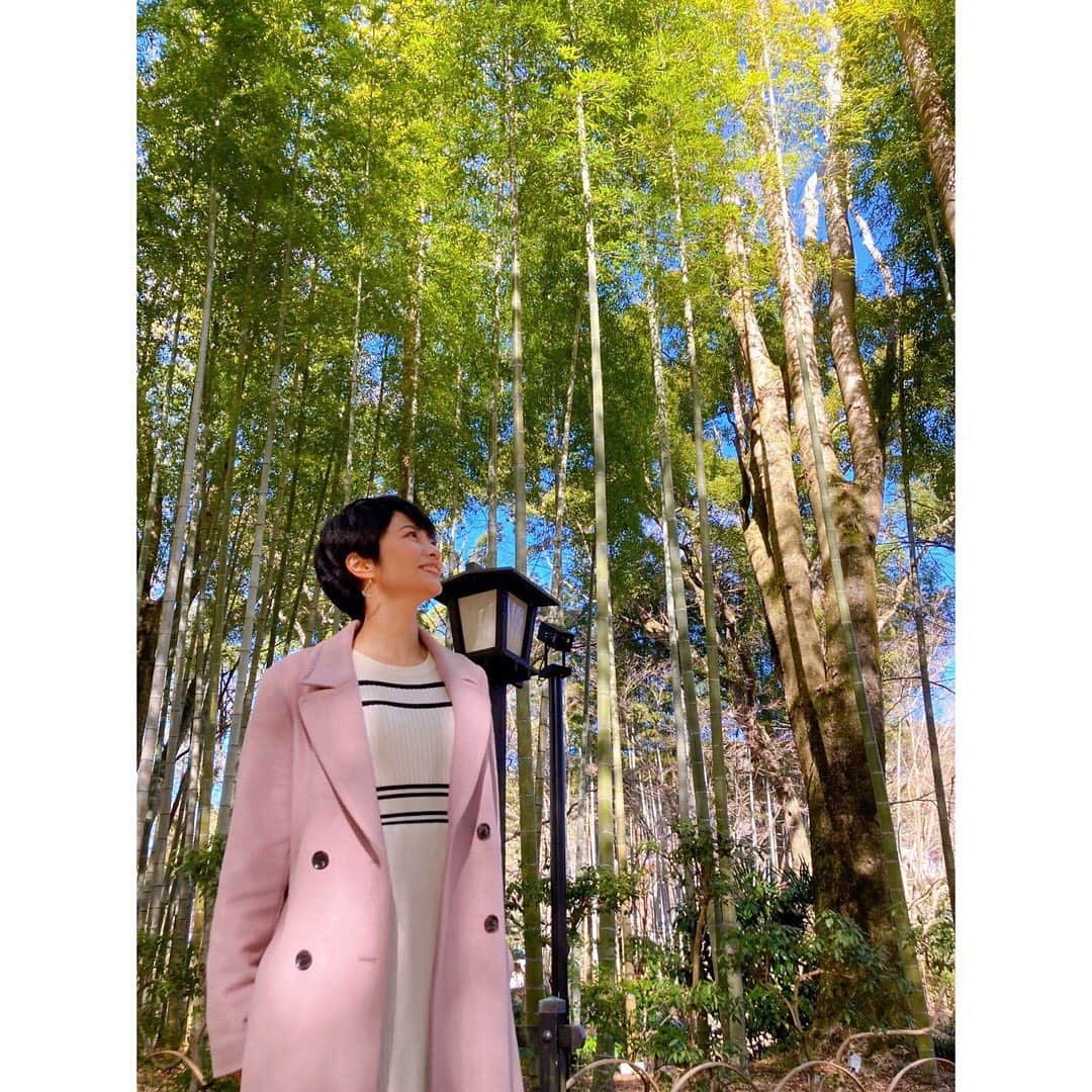 村井美樹さんのインスタグラム写真 - (村井美樹Instagram)「明日25日（金）朝8時からテレビ東京で「ハーフタイムツアーズ・後編」の放送があります☺️  後編は富士山ビュー特急の旅！  修善寺を散策した後は、河口湖にある富士山の絶景が楽しめるハーブレストラン「四季の香り」でランチ。  そして、河口湖駅からいよいよ富士山ビュー特急に乗車！  富士山に一番近い鉄道・富士急行線 @fujikyu_railway の車窓は迫力満点🗻✨  水戸岡鋭治さんデザインのカラフルな車内も可愛かったです。  様々な表情の富士山を眺められて、大月駅まであっという間の45分間でした😆✨  動画はこちらからも見られます！ https://youtu.be/RfGo67ZL4ew  フレア袖のニットワンピースは @cawaii_official_  @cawaii_zozotown  です。  #ハーフタイムツアーズ　#テレビ東京　#富士山ビュー特急 #富士急行 #修善寺 #修禅寺 #竹林の小径 #ハーブガーデン四季の香り #旅こけし #井上はる美工人 #frenchpave #cawaii」3月24日 10時50分 - miki_murai_