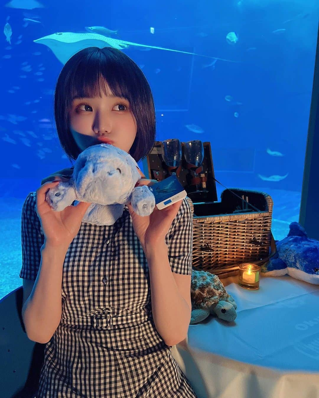 みもれもんさんのインスタグラム写真 - (みもれもんInstagram)「A tourist destination in Okinawa!  I rented out Churaumi Aquarium and had a picnic ✌️🌈  美ら海水族館にピクニック来たよぉ〜✌️ サンドイッチおいしかった🤤🥪💖  #みもれもん #黒髪 #ショートヘア #ショヘジョ #日本女孩 #インスタグラビア #Mimolemon #Japanesegirl #japan #asiangirl #okinawa #沖縄 #opensea #NFT #美ら海水族館 #貸し切り #リッツニック」3月24日 11時16分 - mimore_mon0929