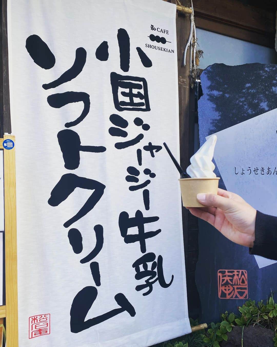中島遥のインスタグラム：「帰りは道の駅でジャージー牛乳のソフトクリームを食べて、帰りました🚗✨ 結構な移動距離だったけど、凄く充実👏 行きたい所は基本行けたけど、まだまだ楽しそうな所ありそうだったなー🤔と思い、また旅行に行きたくなりました😂✨  九州での思い出沢山出来て嬉しい🙆‍♀️✨  #九州#自然#ジャージー牛乳 #ソフトクリーム#夫婦旅 #宮崎旅行#熊本#温泉#阿蘇#阿蘇山#旅行#travel#宮崎県#絶景#お出かけ#portrait#ファインダー越しの私の世界#東京カメラ部#カメラ#一眼レフ#フォロー#カメラ女子#自然#follow#japan#いいね#コメント#ありがとうございます#japanesefood」