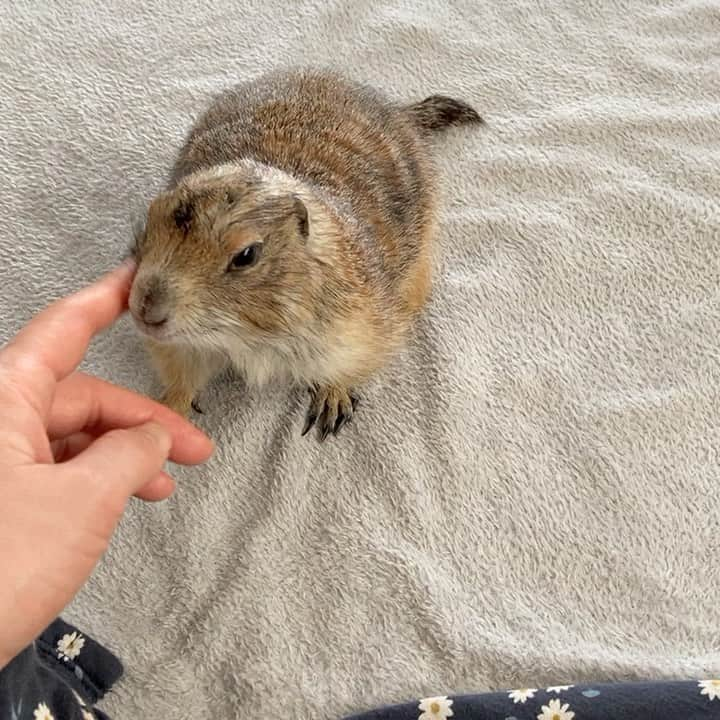 cocoのインスタグラム