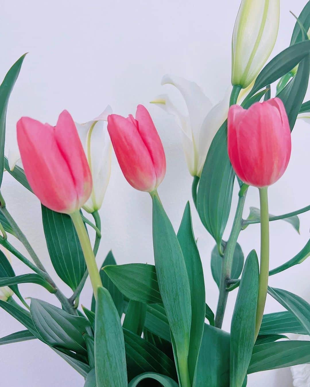 あびる優さんのインスタグラム写真 - (あびる優Instagram)「チューリップって、かわいいよね☺️🌷 ほっこり☺️💕 桜も楽しみな季節だね🌸✨  #spring#flower#tulips#lily#春#花#お花#生花#百合#チューリップ#🌷#💐#💕」3月24日 13時09分 - yuabiru74