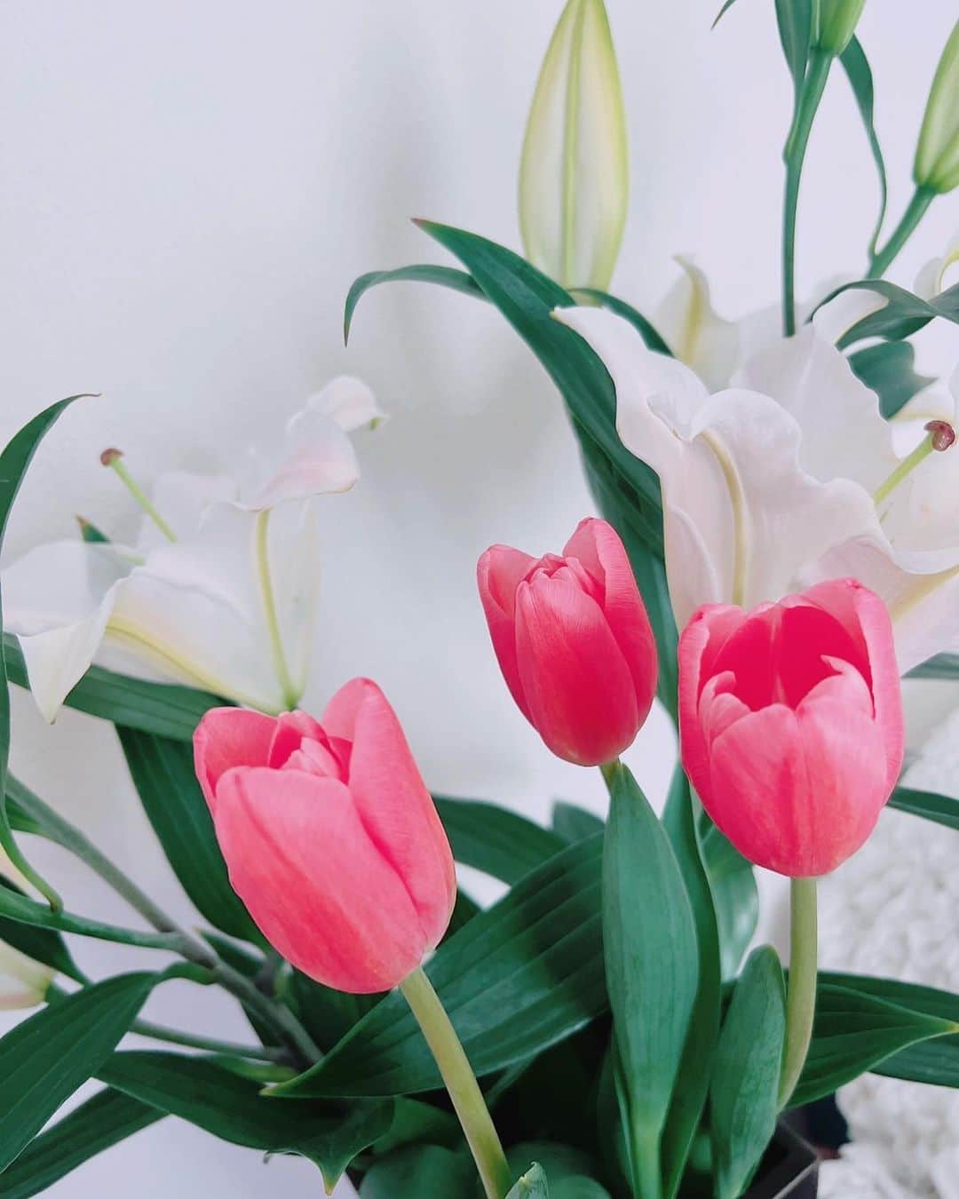 あびる優さんのインスタグラム写真 - (あびる優Instagram)「チューリップって、かわいいよね☺️🌷 ほっこり☺️💕 桜も楽しみな季節だね🌸✨  #spring#flower#tulips#lily#春#花#お花#生花#百合#チューリップ#🌷#💐#💕」3月24日 13時09分 - yuabiru74