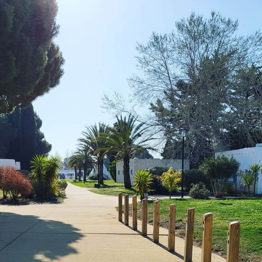 のインスタグラム：「Good morning Montpellier 🌞🌴  #montpellier #worldchampionships #isufigureskating #isu #icedance #fiammeazzurre #poliziapenitenziaria #fisg4passion #conisocial #coni #italiateam🇮🇹  #guignardfabbri #jacksonultima」