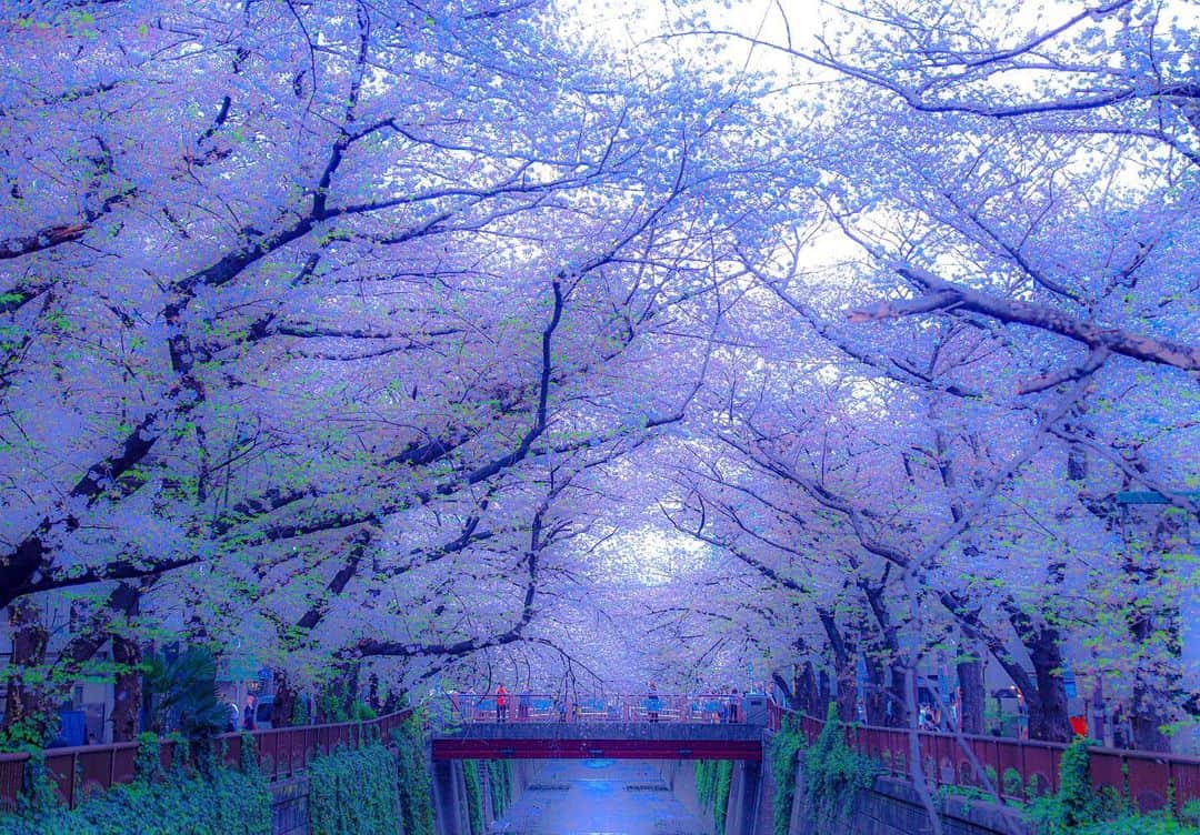 多田修平のインスタグラム：「もうすぐ桜の季節🌸」
