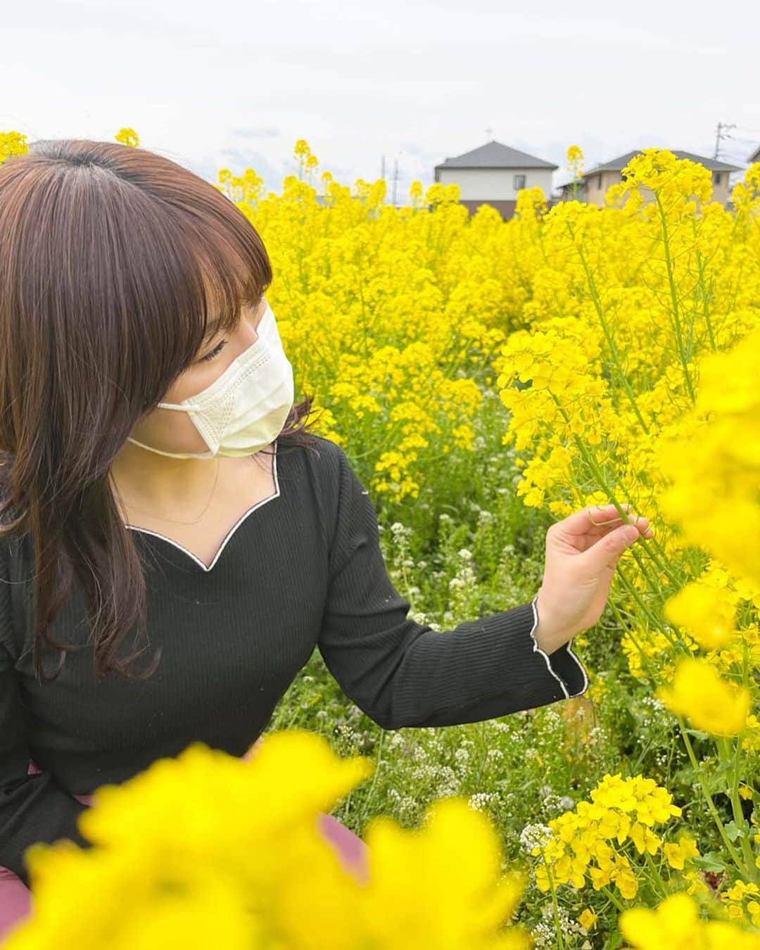 のインスタグラム：「🎤 こんばんは、山下佳乃です🌷  先日、仏生山駅の近くの「仏生山の森」に咲く菜の花を取材しました✨ 一面が黄色の世界！ 菜の花の花言葉は「快活」や「明るさ」…その言葉通り、菜の花から感じる「明るさ」から元気をもらいました💪  管理者の方によると、 畑の中に入って上から撮影してもらうと、 画面を菜の花でいっぱいにすることができ、美しく“映え”な写真を撮ることができるそうです☺️  見頃は4月上旬までです！📣✨  #菜の花 #菜の花畑 #春 #春の花 #花言葉 は #快活 #明るさ #花スタグラム #キリトリセカイ #ファインダー越しの世界  #香川県 #香川 #kagawa #高松市 #高松 #takamatsu #仏生山の森  #5ch #KSB瀬戸内海放送 #山下佳乃 #アナウンサー #女性アナウンサー #女子アナ #テレビ局」