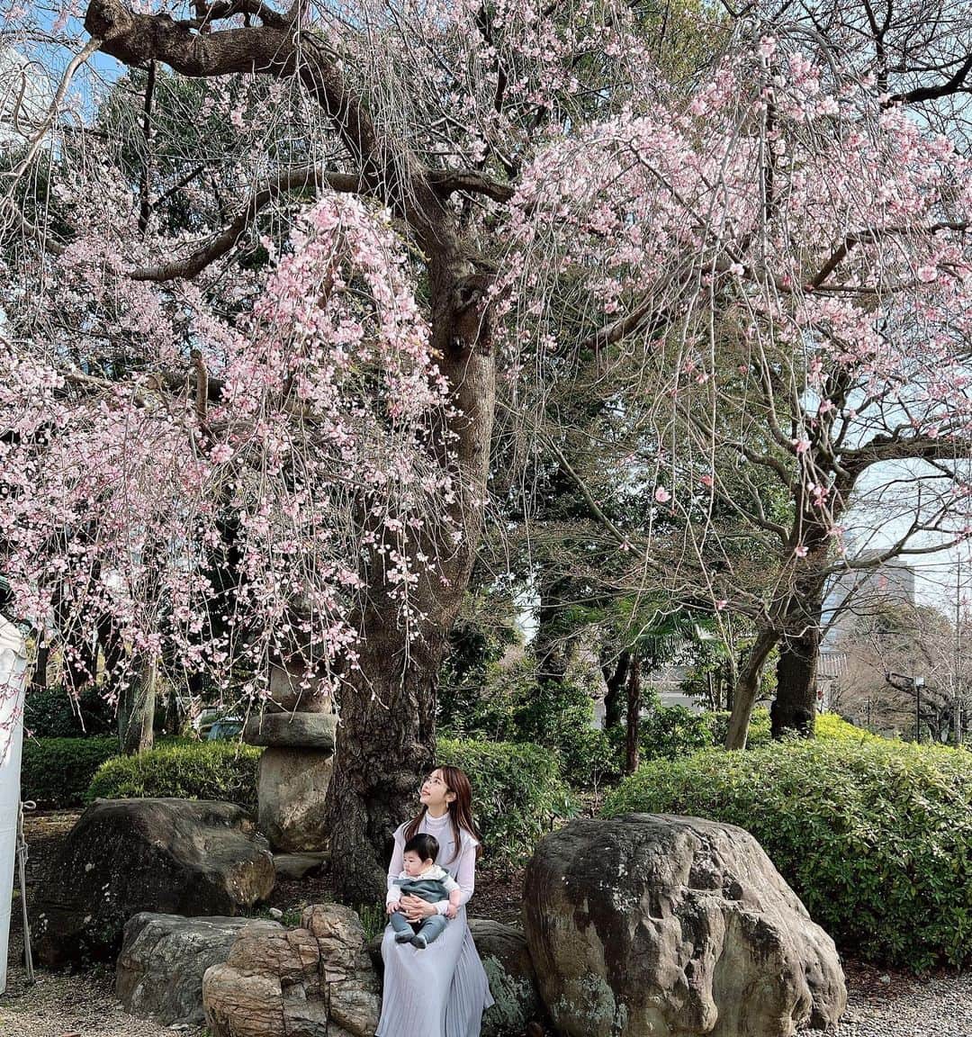 のインスタグラム：「🌸🌸🌸🌸🌸  この季節が1番すき🥰  マシュ君に内緒でまめさんと2人お花見してきた🤫🌸笑  よく笑う息子君に日々癒されています🥺🙏 最近はちょっぴり人見知りが始まってきたのか、たまにぐずるようになりました👶成長成長✨！  お洋服はタグ付け🏷しておきます♪  #お花見  #お花見コーデ  #春コーデ  #芝公園」