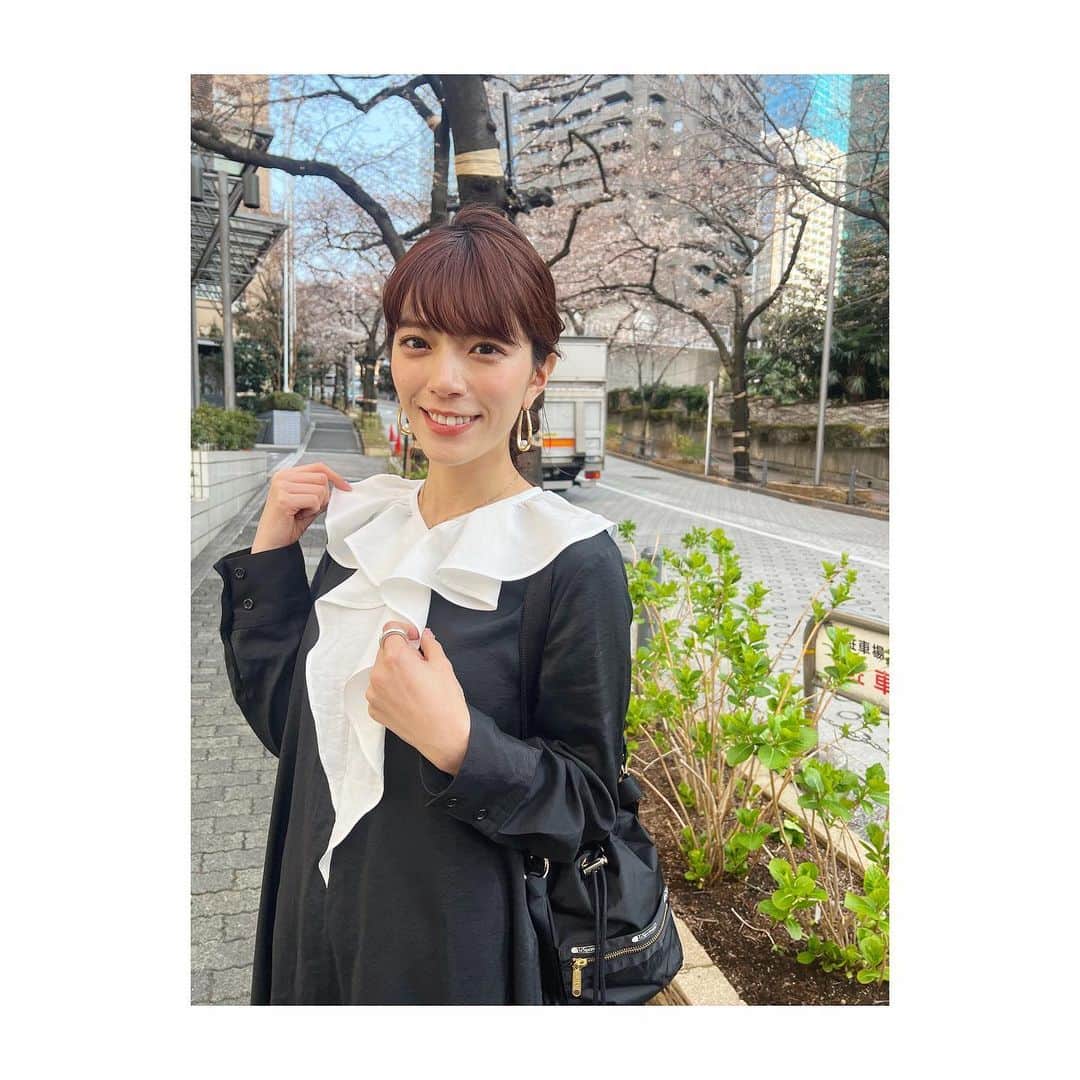 のインスタグラム：「* #三谷の衣装 ❤︎ 胸元のフリルが特徴のワンピース。 ガーリーだけどシックに着られて とてもとても気に入っています🥺 袖のボタンも可愛いですよね。 黒いスポーティなバッグと合わせると かっちりしすぎなくてさらに🙆‍♀️💓 * #ootd#ootn#outfit#衣装#洋服#お洋服#ワンピース#onepiece#襟#えり#フリル#フリルワンピ#シック#コーデ#モノトーン#モノトーンコーデ#コーデ#今日のコーデ#todayscode#code#monotone#バッグ#bag#テレビ朝日#アナウンサー#三谷紬」