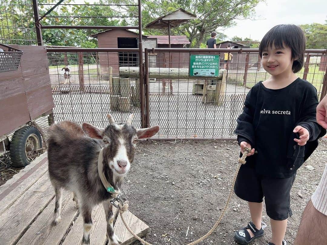アレクサンダーのインスタグラム：「世界一可愛いカゲトラ❤️ selva secretaのTシャツ着てます❤️ #旅行 #沖縄」