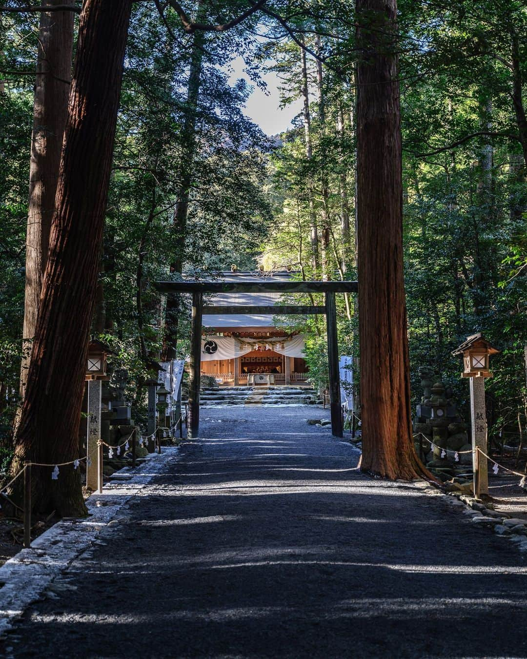 SHOCK EYEさんのインスタグラム写真 - (SHOCK EYEInstagram)「現Panasonicの創始者、松下幸之助氏が、実は神社のことをとても愛し、大切にしていたの知ってる？  特に三重にあるこの椿大神社には、足繁く通っていたそう。  境内にある松下幸之助社は、 「経営の神様」と呼ばれていた松下幸之助氏が、正にこの地で神様としてひっそりと祀られている🙏  ずっと行きたかったこの場所。 同氏の考え方、生き方にとても影響を受けていたから、この場所は特に感慨深いものがありました✨  自然豊かな広い境内はとにかく散策してるだけでも気分が良い。  願いを叶え、悪運を浄化するという、かなえ滝のある椿岸神社も是非立ち寄ってね。  清々しい空気、瑞々しい木々に囲まれたパワースポット、椿大神社⛩✨  目指すべき将来に迷った人を助け、成功へと導いてくれる場所😊  オススメです＾＾  #椿大神社 #松下幸之助社 #松下幸之助 #三重県 #鈴鹿 #神社 #かなえ滝 #椿岸神社 #shrine #tsubakiookamiyashiro」3月25日 13時17分 - shockeye_official