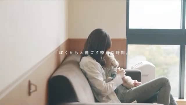 SHIORIのインスタグラム：「✔︎HAPPY BIRTHDAY . . . 大切な宝物のふたりが 2歳と4歳を迎えました🐶💓 . . 元気いっぱいの甘えん坊で毎日本当に可愛すぎる天使たち👼🏻 . ふたりがうちに来てから 全部きなこもち中心に。 . 大変な事ももちろんあるけど、 なんでもない毎日が 本当にかけがえのないものになりました😊❤️ . たくさんたくさん、ありがとう。 . お誕生日おめでとう🎂🎉💓  #わんこ #わんこのいる生活 #わんこなしでは生きていけません会 #わんこと旅行 #わんこのいる暮らし #わんことお出かけ #トイプードル  #関西わんこ #関西旅行 #関西わんことお出かけ」