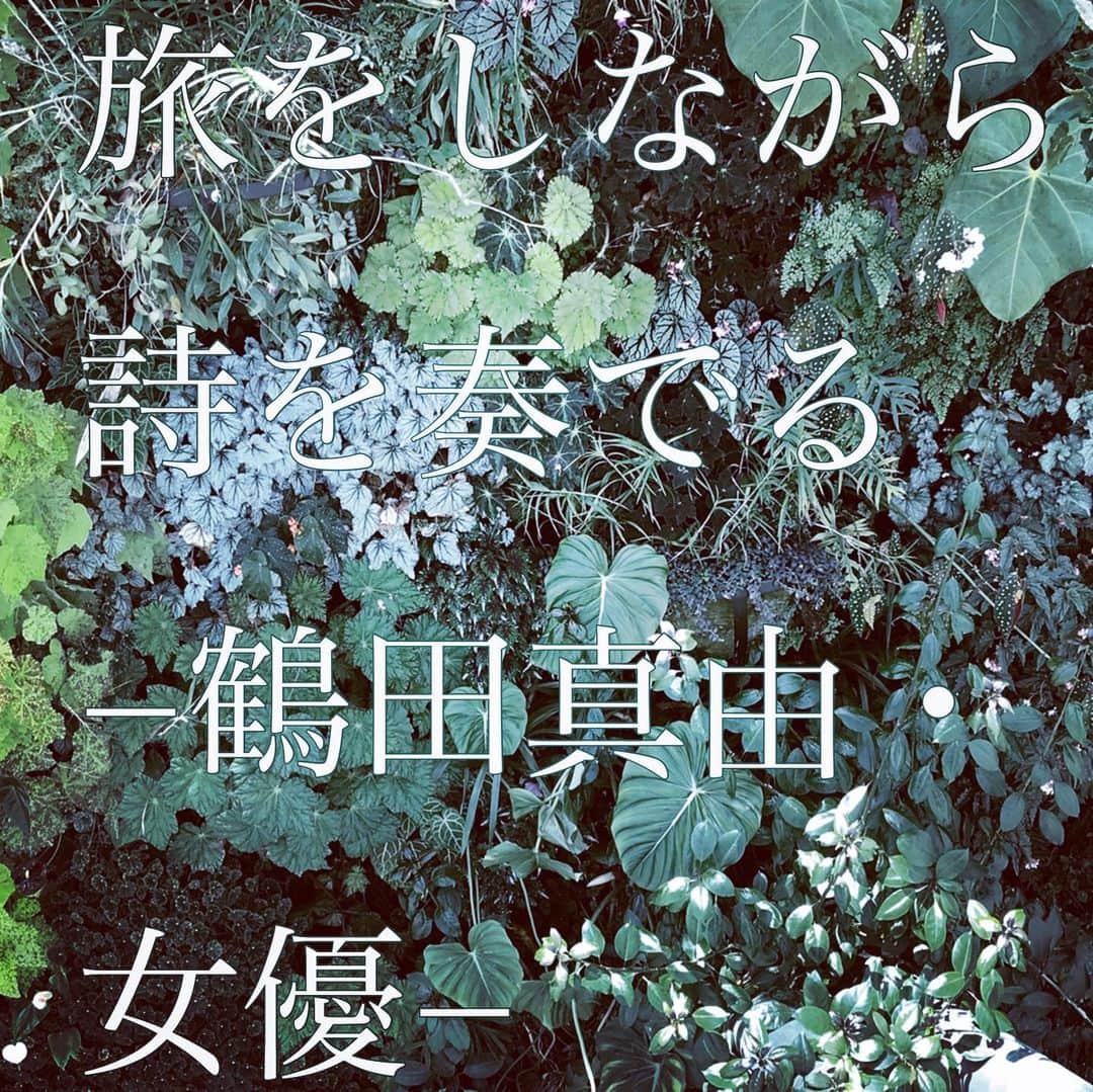 鶴田真由のインスタグラム：「noteでマガジンを始めました❣️  初回はタダで読めます‼️ 詩と写真と音、そして、それにまつわる文章を綴っています。 まずは読んでみてくださいませ。 そして、気に入っていただけたらシェア＆購読していただけたら嬉しいです🥰  よろしくお願いいたします❤️  https://note.com/mayutsuruta/m/m2f09ee6d932f」