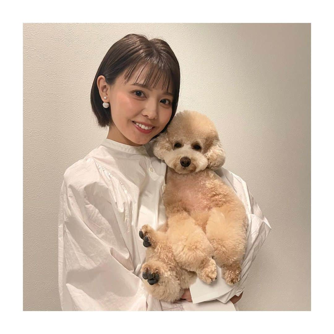 宮澤智さんのインスタグラム写真 - (宮澤智Instagram)「★ 今日は暖かくて春を感じますね🌸 もうすぐ新年度、 何事も停滞せず前進していきたいものです。 リアンはというと日々可愛いを更新しています🐶 少し前に #32歳 になりました🙋‍♀️厄年🤦‍♀️」3月25日 12時51分 - tomo.miyazawa