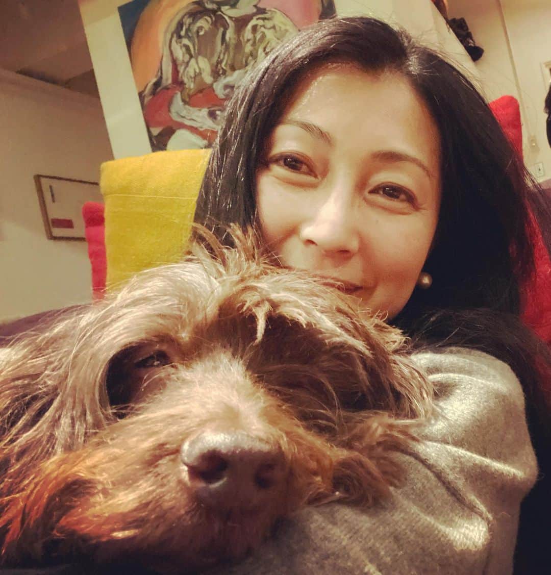 鶴田真由のインスタグラム：「もうお眠のカカ✨🐶✨ 後ろの絵は @近藤亜樹 ちゃんの描いてくれたカカだよ❣️」