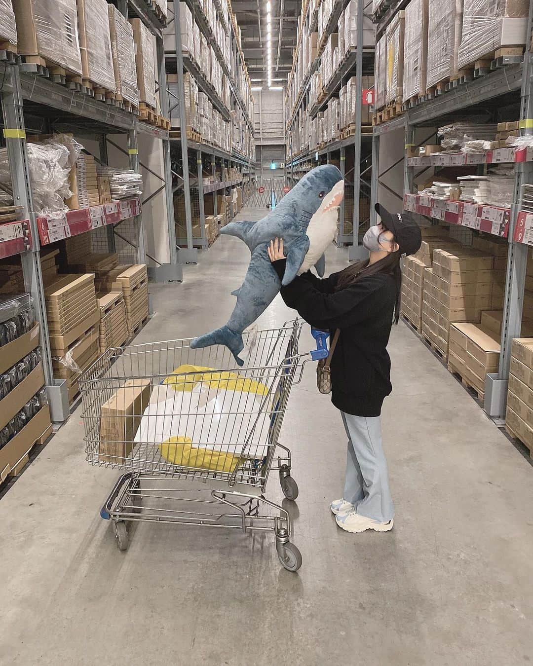 新谷真由のインスタグラム：「IKEAでお買い物した💙  サメさんが家に来たそうだったので連れて帰ってきました🦈」