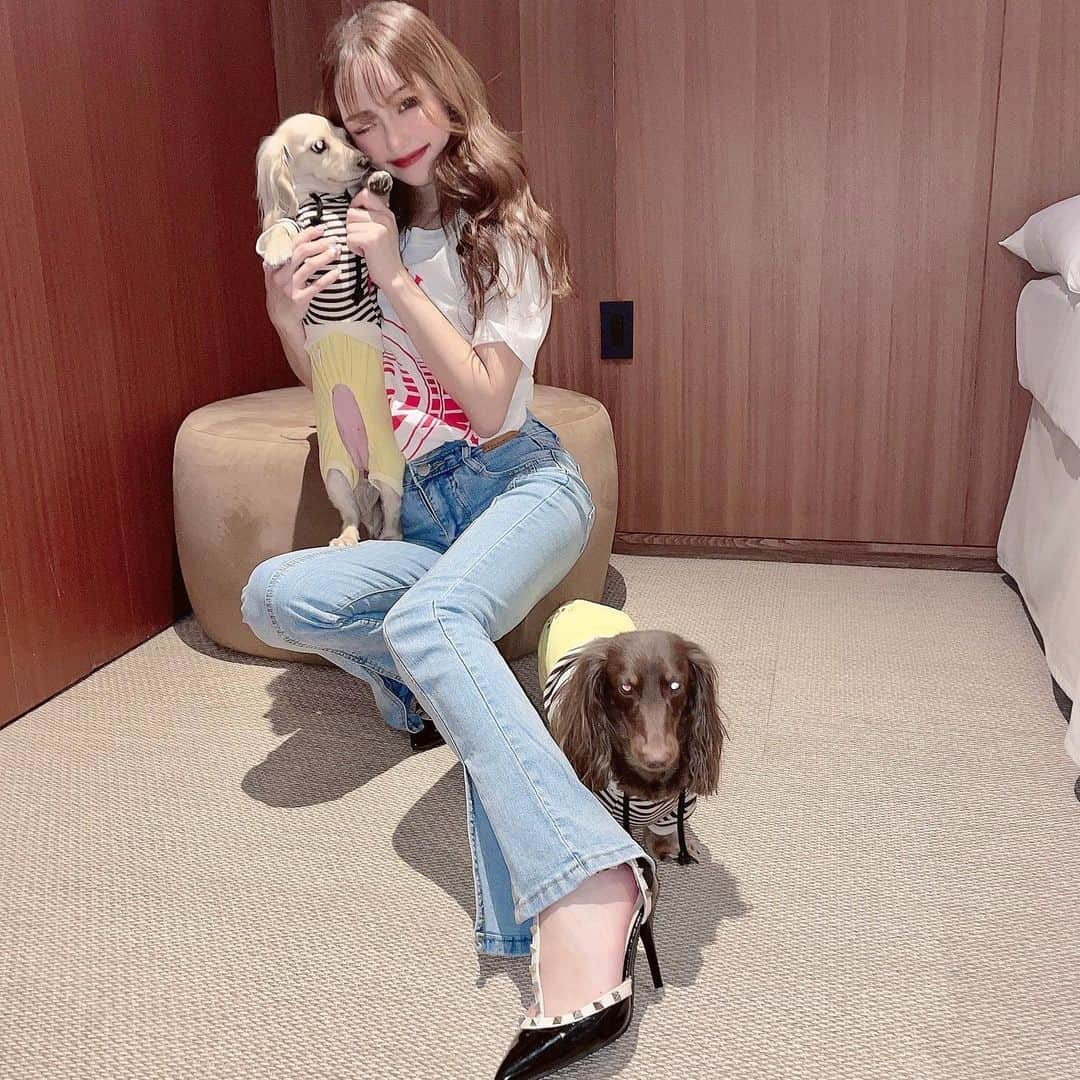 加瀬愛莉さんのインスタグラム写真 - (加瀬愛莉Instagram)「🐶♥️」3月25日 20時14分 - airi0413_k