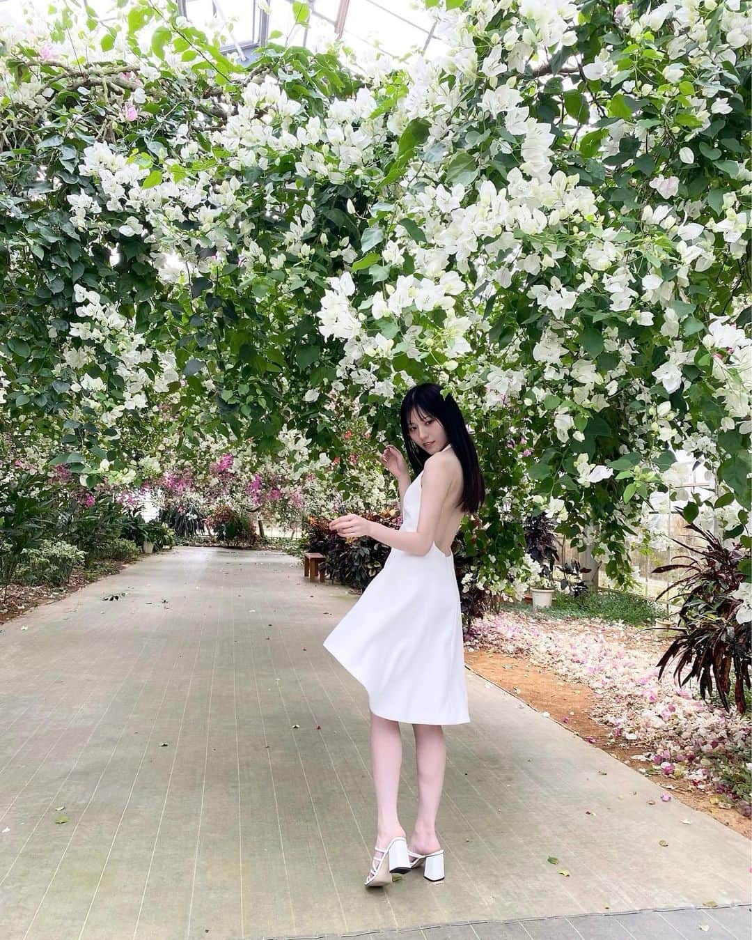 のインスタグラム：「. 明日は写真集リアルイベントです 是非お待ちしております 🕊🍃」