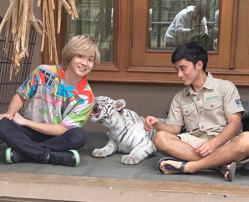 のインスタグラム：「Hari ini main di rumah @alshadahmad san tomodachi baruuu!!! Seru banget!! Selen chan kawaii banget! Tapi kayanya mau makan aku wkwk  Ngak ya dia mau main aja gemes banget!! Shooting bareng @audreyaofficial san juga!! Aku lupa foto pake hp bareng Audrey san.. tapi di dalam video ada jadi nanti upoad foto sama Audrey san juga yaaa!! Audrey san juga tomodachi baru yang crazy dan asiiik!! Dua duanya orang baik banget! Arigatoo Audrey san dan Alsahd san!!!🙏🏻  #senangpunyatomodachibaru」