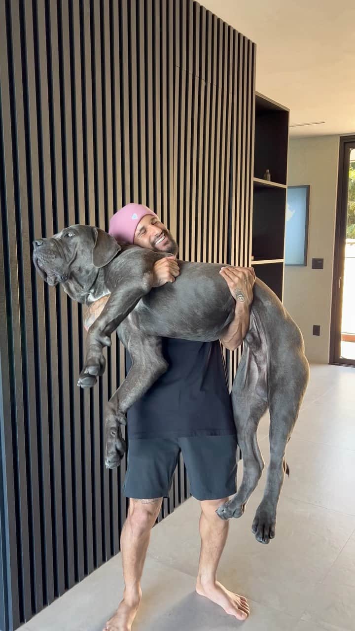 イタロ・フェレイラのインスタグラム：「“ Papai eu tô gigante “ #trend 🐶 @_ferreiradogs #9meses」