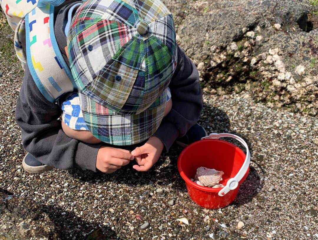 藍さんのインスタグラム写真 - (藍Instagram)「幼稚園のグランドで貝を見つけてから貝にハマってます。　  グランドや公園の砂って海の砂が使われてるんやね🤔  それからスーパーではまぐりやサザエを買わされ、そして先週と今日海に行ってきました🐚🏖🌊  ハマったらとことんな虎。 それに付き合うのもなかなか楽しい👏 こちらも色んな知識得たり経験させてもろてる😊  #1幼稚園や公園で拾った貝殻 #2触ったらあかんらしい #3はじめての海 #4夢中になって好みの貝探してます #5妹も楽しんでます #6時々ふざけたり #7海に泣けたり #晄虎 #5歳」3月25日 22時14分 - matsuoai