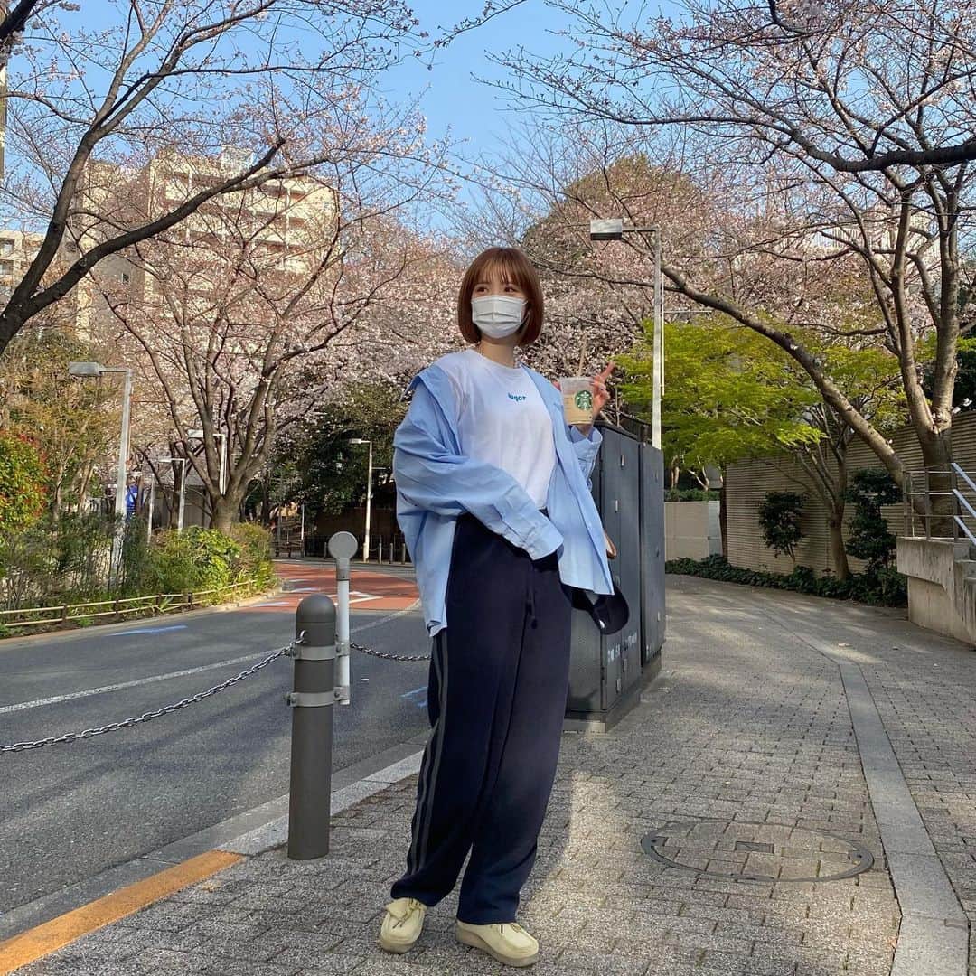 砂糖桃のインスタグラム