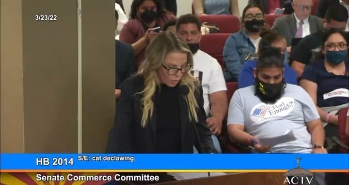City the Kittyのインスタグラム：「This will make you VERY upset and hopefully inspire you to politely reach out to the @aspca AND @subaru_usa since they are the largest donor to the ASPCA. 💵 💰 💰💰💰💰💰 This is a video of the AzVMA's lobbyist testifying in opposition to AZ Senators on Tuesday for the anti-declawing bill.😾😾😾😾😾 The AzVMA is using the ASPCA's death/declaw excuse to try to stop this important cat protection bill.😾 If this bill is stopped it is the ASPCA's fault.😾 For some disturbing reason the ASPCA does not want declawing banned.🐾🐾🐾🐾🐾🐾🐾🐾🐾🐾 The veterinary medical associations and declawing veterinarians have run out of excuses to condone this animal cruelty and will continue to use the ASPCA's weak and false position statement to kill these important cat protection bills. 😾😾😾😾😾 PLEASE help us with these 4 things. It takes less than 5 min.❤️❤️🐾🐾🐾 1) Send a polite note to the ASPCA and ask them to completely condemn declawing and help ban it. Email- publicinformation@aspca.org 🐾🐾🐾🐾🐾🐾🐾🐾🐾 2) Send a polite note to Subaru and ask them to stop giving the ASPCA millions of dollars unless they completely condemn declawing. Email- customer@subaru.com or their Comm. manager Diane- Danton@subaru.com 🐾🐾🐾🐾🐾🐾🐾🐾 3) Sign our new petition to Subaru that's on our Instagram bio link. 🐾🐾🐾 4) Sign our petition to the ASPCA that's on our Instagram bio link. 🐾🐾🐾🐾 Thank you for your help. Your voices make a difference and matter!!! Petitions help make change for the better!❤️❤️ Always take the high road, be polite, and educate.」