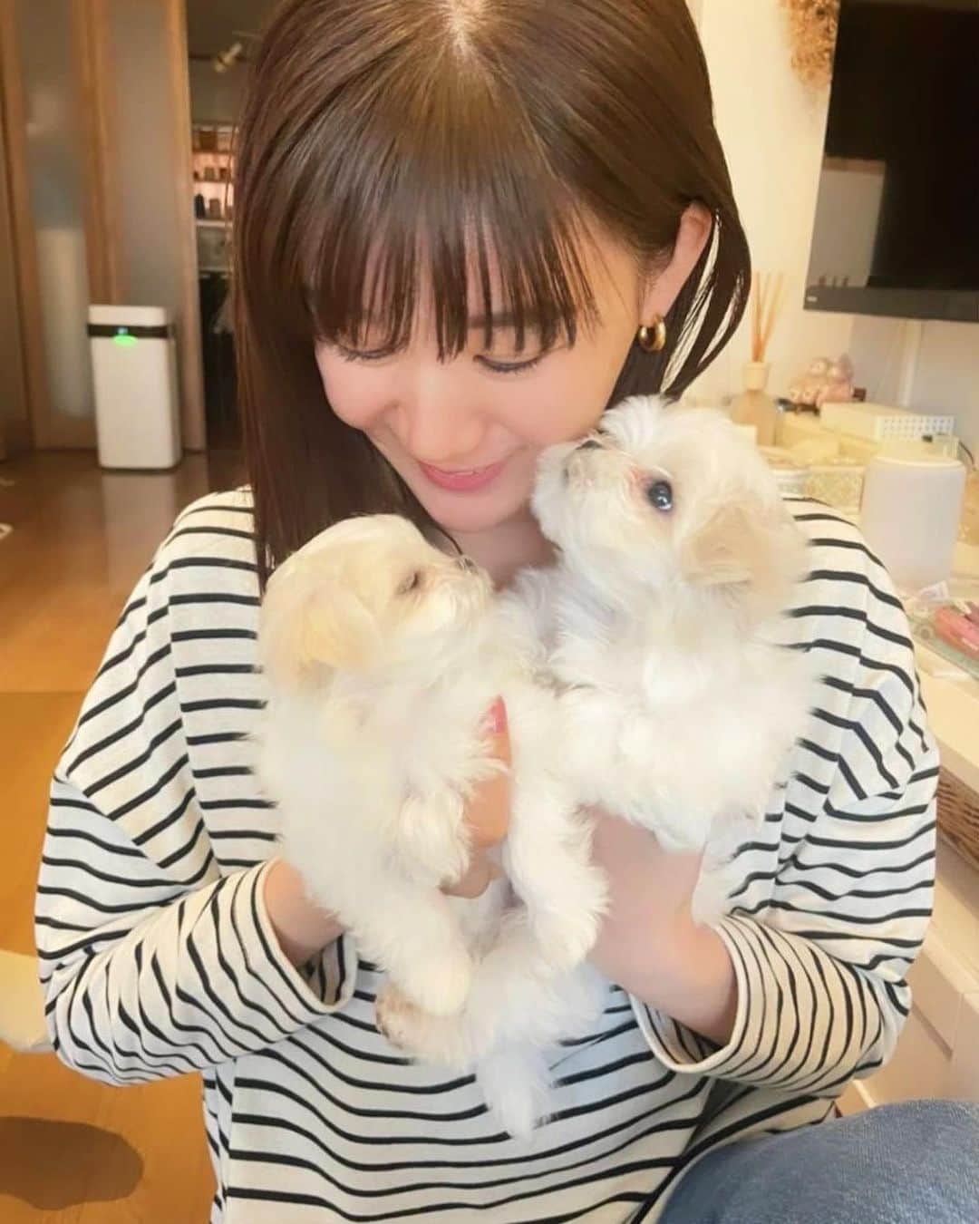 のインスタグラム：「🌰 あなたたちの歯固めに使ってもらえるなら本望です🦷🤚笑  @koharu.nanami1123  @qpu_tomobe」