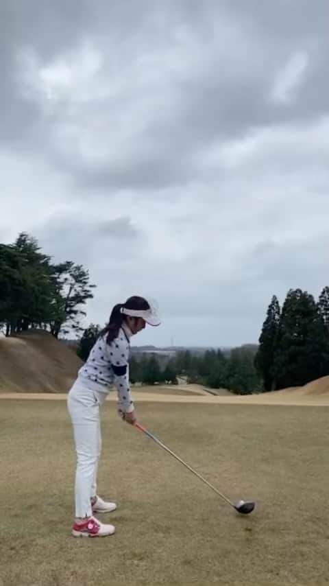 野田すみれのグルメインスタ