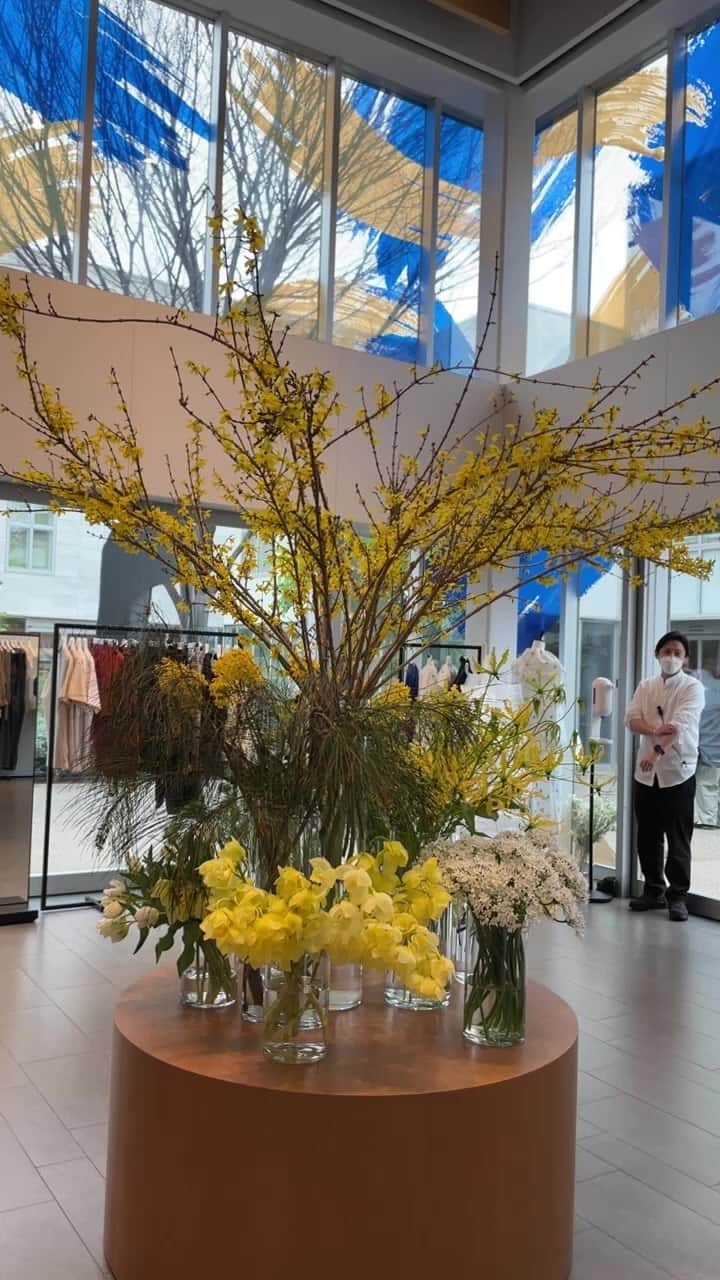 正中雅子のインスタグラム：「本日最終日🌼  インスタライブ🎤」