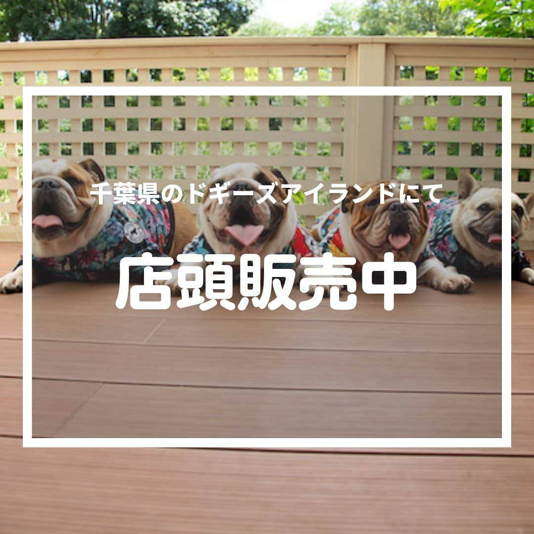 北斗晶のインスタグラム